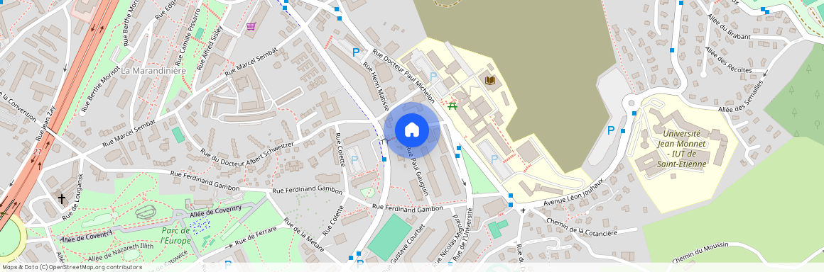 5 RUE PAUL GAUGUIN, 42100, St Etienne