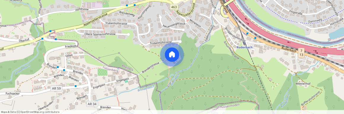 9424, Rheineck, Brendenstrasse, 11