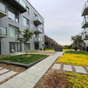 4 1/2 - Montréal (Rosemont) - 2 900 $/mois - Photo 2
