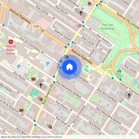 6132 rue De Champlain, Ville-Marie, Ville-Marie, Ile de Montréal, H2L 2X6