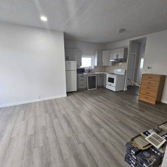 2 bedroom + 1 bathroom + den + basement - Photo 1