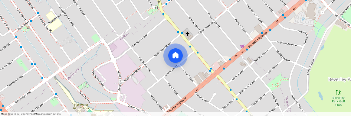 9 Bibby Street, NSW 2218, Carlton