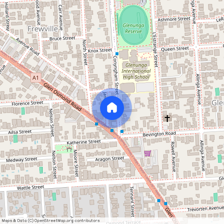 115 Conyngham St, SA 5063, Frewville