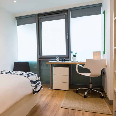 Gold Studio Lower Level - Photo 4