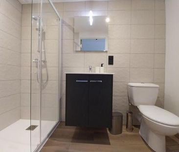 Location Appartement 1 pièce 18m² ORLEANS 45000 - Photo 4