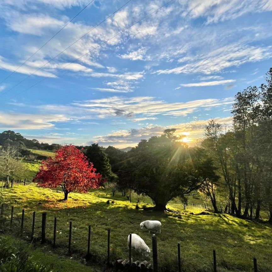 Valley Views and Fresh Eggs Await! - Photo 1