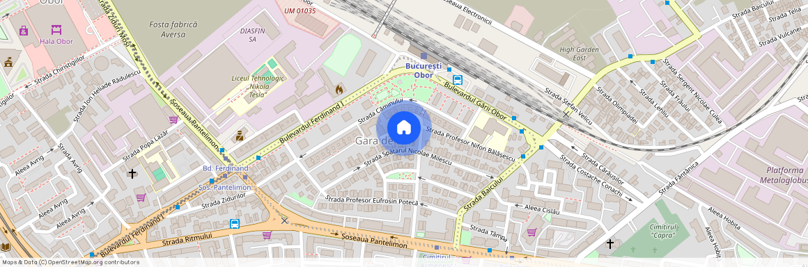 Bucuresti-Ilfov, Bucuresti