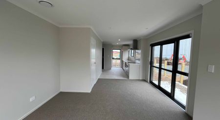 Brand New 3 bedroom townhouse for rent!! - Photo 4