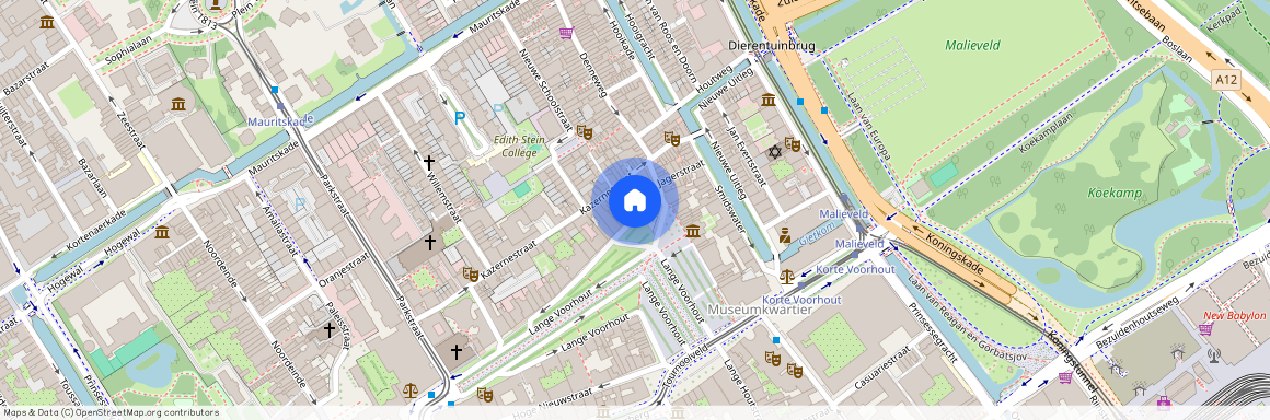 Lange Voorhout 52, Voorhout, 2514EG, Den Haag