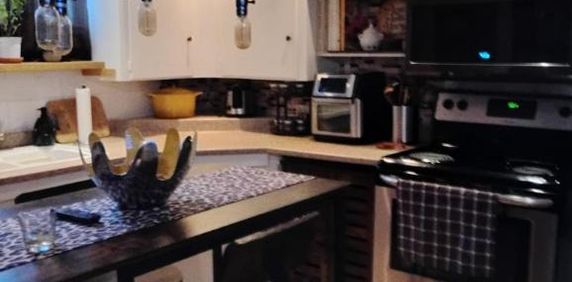 4 1/2 - Montréal (Montréal-Nord) - 1 520 $/mois - Photo 2