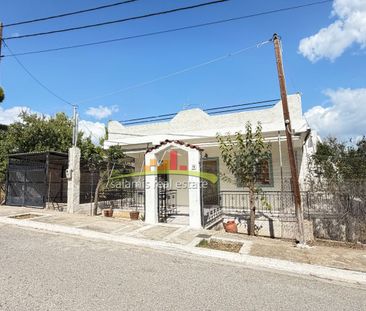 Μονοκατοικία για ενοικίαση Σελήνια (Σαλαμίνα) - Photo 1