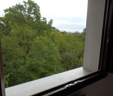 T2 Lingolsheim ROETHIG - EGLISE STE CROIX - Photo 2