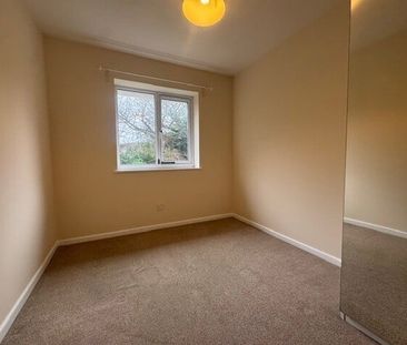 Coriander Drive - Photo 5