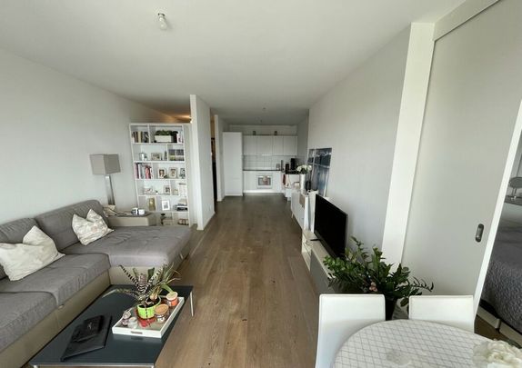 Magnifique logement à louer à Lausanne - Foto 1