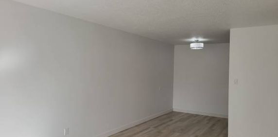 1 bed 1 bath - Photo 2