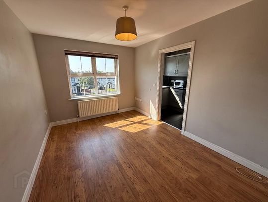 85 Birch Hill Meadows, Antrim, BT41 2TY - Photo 1