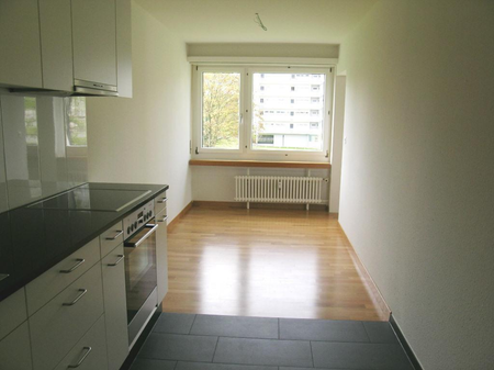 Sanierte 4.5 Zimmerwohnung im schönen Surbaum - Foto 4