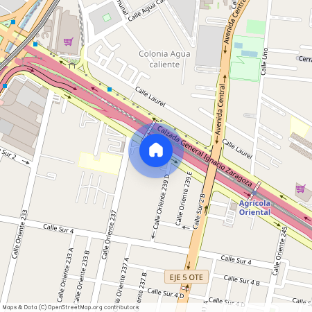 Calzada Ignacio Zaragoza #885, Colonia Agrícola Oriental, C.P. 08500, Df / Cdmx