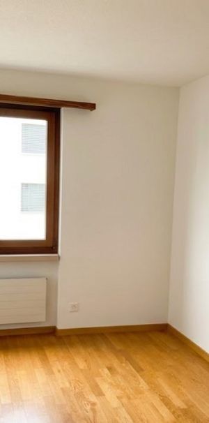 3.5 Zimmer, 91 m², 1. Stock - Foto 1