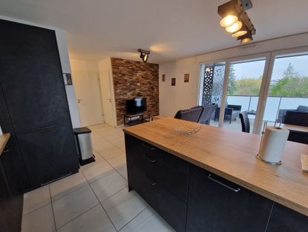 Location Appartement 2 pièces 48m² KEMBS 68680 - Photo 3