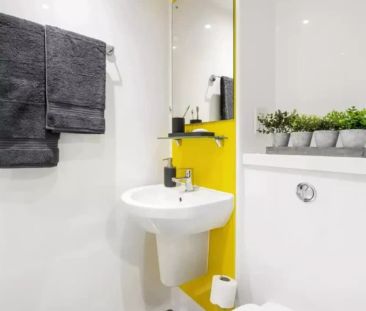 Bronze Studio Plus - Photo 2