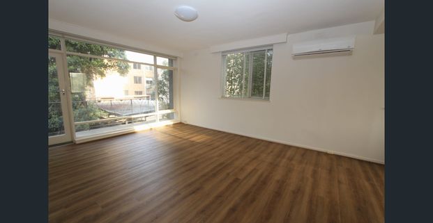 EVERYTHING YOU'VE BEEN LOOKING FOR - Photo 1