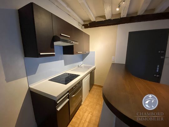 BLOIS Vienne - T2 de caractère - Photo 1