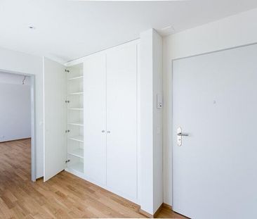 Wohn- & Wohlfühloase - Attikawohnung mit 2 Terrassen - Photo 2