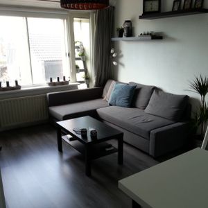 Professor Rogierhof, 6 - Photo 2