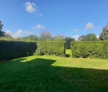 Location maison 5 pièces - 92m² à Ploufragan (22440) - Photo 6