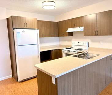 For Lease - 10415 Yonge Street Unit# 814, Richmond Hill, Ontario - Photo 5