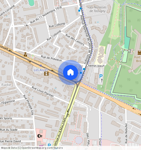 ** Avenue Franklin Roosevelt, Bron, France