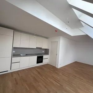 NEUBAU 1230 Wien, Dachgeschoß mit Terrasse + Dachgarten, Stipcakgasse 3 - Top 6 - Foto 1