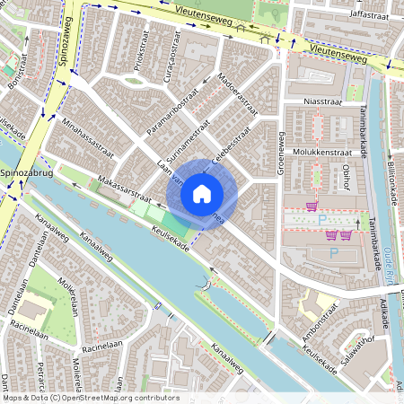 Laan van Nieuw-Guinea 3531JP Utrecht