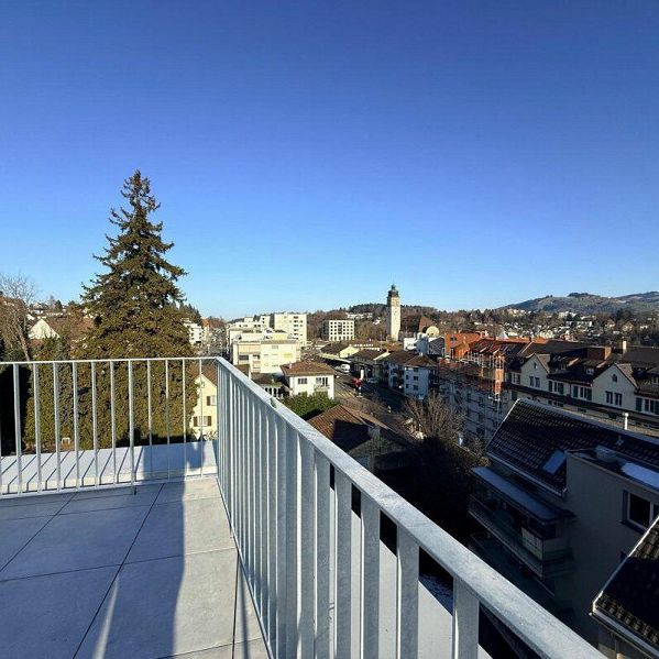 Exklusive Maisonette-Wohnung Neubau mit grosser Dachterrasse - Photo 1