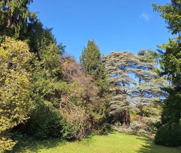 Location Maison 8 pièces 210m² MEDAN 78670 - Photo 2