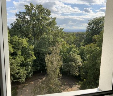 Quartier "Am Jägerpark"Am Jägerpark 14 in 01099 Dresden - Photo 6