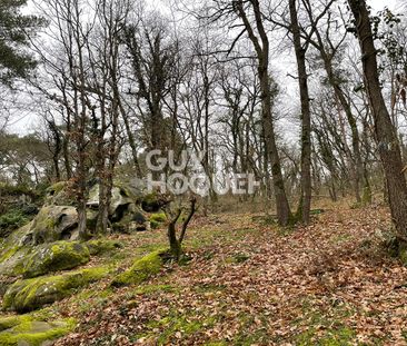 APPARTEMENT A LOUER MEUBLÉ - BUTHIERS - Photo 1