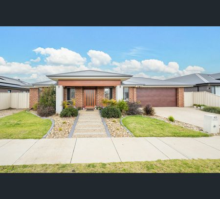 43 Malmsbury Crescent, Kialla, Vic 3631 - Photo 2