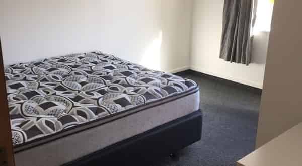 Spacious 6BR Townhouse in North Dunedin - Photo 1