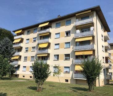 2.5 Zimmer, 49 m², 3. Stock - Photo 2