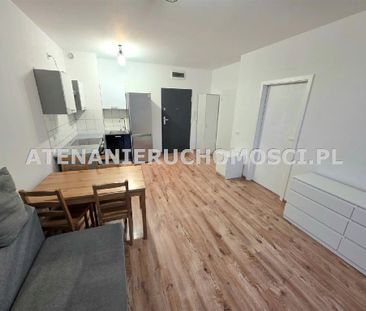 Mieszkanie Bydgoszcz Kapuściska powierzchnia 35.3 m² C265-WM-82550 - Photo 3