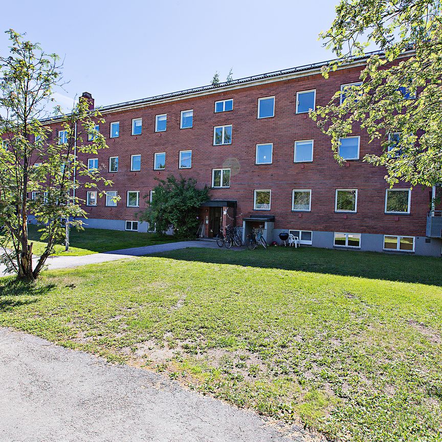 Skolgatan 95, Umeå - Photo 1