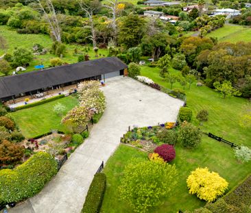 16 Mystic Place, Tuakau - Photo 4