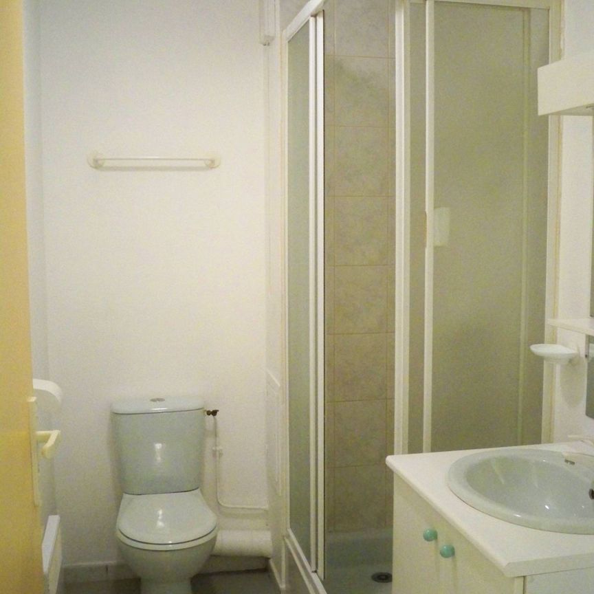 Location Appartement 1 pièce 19m² CLERMONT FERRAND 63000 - Photo 1