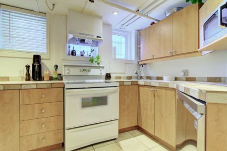 Appartement à louer - Montréal (Le Plateau-Mont-Royal) (Le Plateau-Mont-Royal) - Photo 2