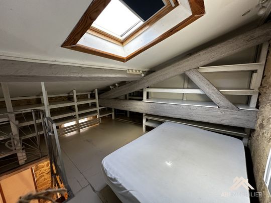 Location Appartement 2 pièces 21m² MONTPELLIER 34000 - Photo 1