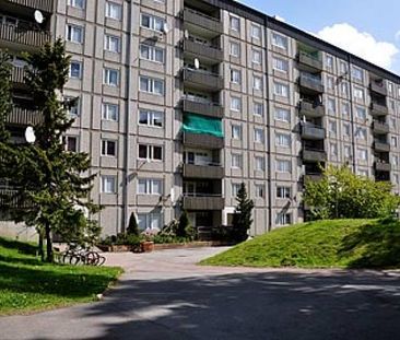 Baron Rogers Gata 20 - Foto 1