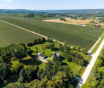 For Lease - 727410 21st Side Road, Blue Mountains, Ontario - Photo 6
