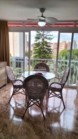 #Benidorm Rincon de Loix winter let - Photo 5